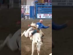 Amazing Bronco Ride! #short #shorts #shortvideo #shortsfeed #viralvideo #viralshorts #horse #travel