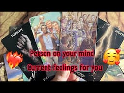 Person on your mind : Current Feeling/emotions of your person👩‍❤️‍💋‍👨💕Hindi tarot card reading