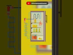 How does a refrigerator work #shorts #refrigerator