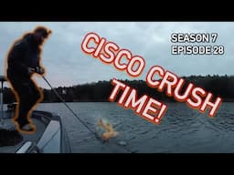 Fall Cisco Pattern for BIG Muskies! I CAN'T BELIEVE it ended like this..... S7.E28