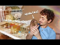 Daily Pet Vlog! ✨ cage cleaning, updates & more