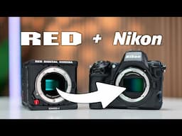 Did Nikon Just Unlock Red's Color Science For Free?!