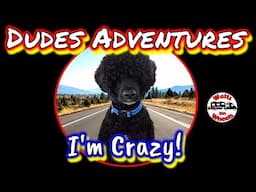 🐾 I'm a Crazy Portuguese Water Dog