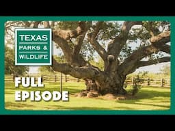 PBS Show - Famous Trees, Paddling San Antonio & Fishing Facilitator