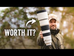 The ALL-IN-ONE wildlife lens | Sony 200-600mm G OSS