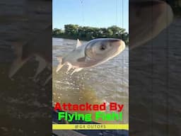 Attacked By Flying Fish! #flying #fish #shorts #fishattack #asiancarp #crazyfish #hugefish #fyp #4u