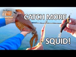 Squid tips you need to know to catch more squid