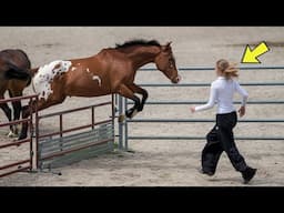 Horse Goes Crazy When He Sees This Girl – The Reason Surprised His Owner!