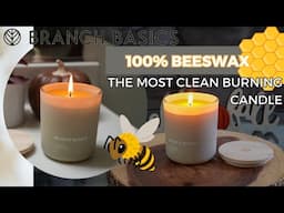 Branch Basics Pure Beeswax Candle | Wax That Actually CLEANS The Air!