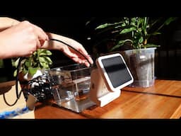 RAINPOINT WiFi Solar Drip Irrigation System Test. Learn With Me. I LOVE This. How To Use And Set Up.