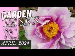 WHAT I'M PLANTING, WHAT'S BLOOMING -- APRIL 2024