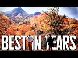 GATLINBURG, TN; THE BEST FALL COLOR IN YEARS Vibrant Reds, Oranges, Peak Colors