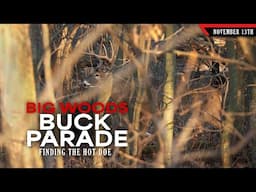 Big Woods Buck Parade - We Found the Hot Doe | Bowhunting Whitetails w/ Bill Winke