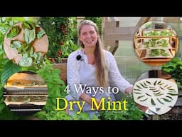 Four Ways to Dry Mint and Herbs for Winter (Do this now⏳)