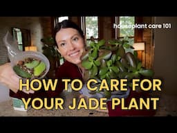 How to Care for Jade Plants: Watering, Lighting, Soil, Repotting & More - Houseplant Care 101