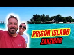 Zanzibar Prison Island Travel Vlog 4k