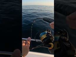 Jigging BIG Bluefin Tuna!