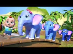 Baby Elephant Song | Five Little Elephants | Leo Nursery Rhymes & Kids Songs