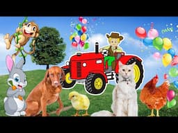 Familiar animals for children: dog, cat, rabbit, chicken, mouse, cow, horse - cute animal sounds