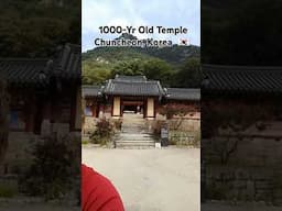 🇰🇷 1000-YEAR OLD TEMPLE  Chuncheon, Korea  #koreatravel #koreatourism #chuncheon #buddhism #seoul