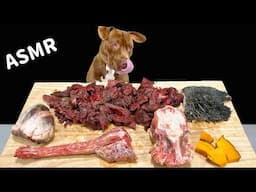 BEST ASMR MUKBANG PITBULL EATING RAW FOODS