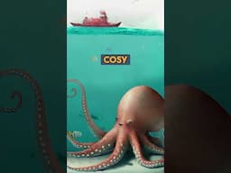 Can you help the Octopus get cosy? Bedtime Stories for Kids