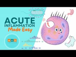 Acute Inflammation Made Easy