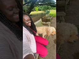 Cute Dog Befriends An African Woman 🐶 pt3