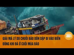 "Chuỗi bão dồn dập đi vào Biển Đông khi đã ở cuối mùa bão là hiện tượng bất thường" | Toàn cảnh 24h