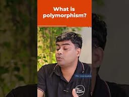 What is Polymorphism? | A Beginner's Guide