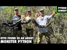 TV Star Catches Giant Python Looking To Breed On Python Island