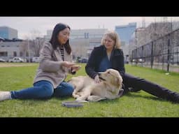 Del ADN de perros a las enfermedades humanas | Video HHMI BioInteractive