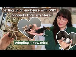 Setting up a mouse enclosure using ONLY products from my store & adopting 4 new mice!