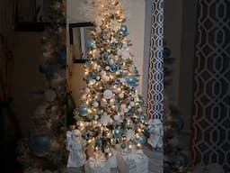 Christmas Tree 2024 #christmasdecorideas #whitechristmas #short #shortvideo  #christmasdecor