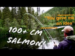 Fly fishing tactics | Atlantic salmon, in June