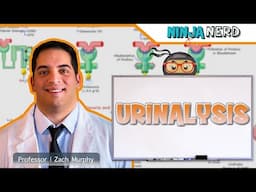 Urinalysis | Clinical Medicine