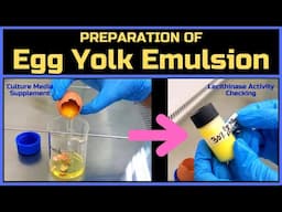 Egg Yolk Emulsion Preparation | Supplement for Microbiological Culture Media | BAM Media M51