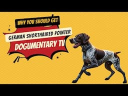 OWNING a German Shorthaired Pointer Will CHANGE Your Life!