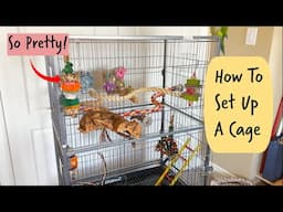 My Perfect Bird Cage Setup Tutorial