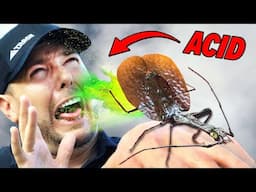 Blinding Bug Sprays ACID at Eyes!