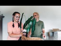 Spiritus Sancti Unboxing. I Finally Got My Dream Plant! Unbox Rare Alocasia With Us.