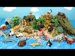 Island Diorama with Land and Sea Animal Figurines