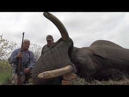 Elephant hunting with Bush Africa Safaris 2021