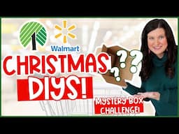 SHE SENT WHAT?! NEW Dollar Tree & Walmart Christmas DIY Decoration Ideas! | Mystery Box Challenge 📦