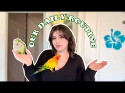 My Daily Routine With My Quaker Parrot And Sun Conure *UPDATED*