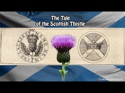 🏴󠁧󠁢󠁳󠁣󠁴󠁿 The Tale of the Scottish Thistle 🏴󠁧󠁢󠁳󠁣󠁴󠁿 #folklore  #history #scotland