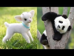 Cute baby animals Videos Compilation cute moment of the animals - Cutest Animals #45