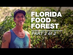 Lonny Reid's Secret to Growing a THRIVING Permaculture Food Forest!