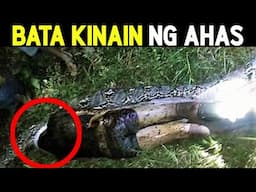 BATA KINAIN ng HIGANTENG AHAS na ALAGA PA ng KANYANG MAGULANG