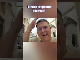 Falcons taught me a lesson!